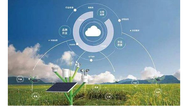 智慧農業大數據平臺正式上線，可為生產提供強大數據支持