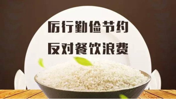 反食品浪費法草案提上議程，為<i style='color:red'>治理</i>食物浪費立制